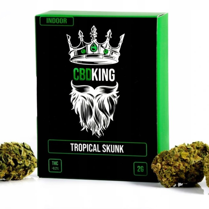 CBD - ΑΝΘΟΣ - CBDKING - TROPICAL SKUNK 2γρ, 9% CBD / ΜΗ-ΨΥΧΟΤΡΟΠΙΚΗ ΦΑΡΜΑΚΕΥΤΙΚΗ ΚΑΝΝΑΒΗ ( ΠΡΟΦΙΛ ΓΕΥΣΗΣ: ΦΡΟΥΤΕΝΙΑ/ΓΛΥΚΙΑ ) εικόνα 1