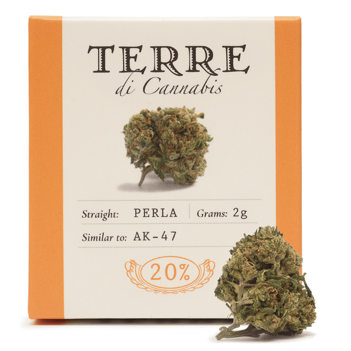 CBD - ΑΝΘΟΣ - TERRE DI CANNABIS - PERLA ( ΣΑΝΤΑΛΟΞΥΛΟ, ΚΕΔΡΟΣ, ΠΕΥΚΟ ) - 2γρ, 20% CBD εικόνα 1