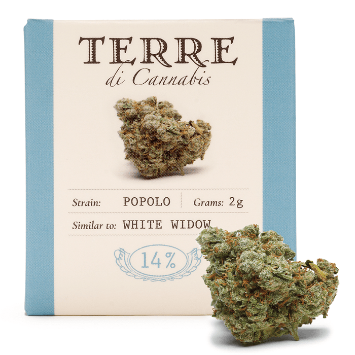 CBD - ΑΝΘΟΣ - TERRE DI CANNABIS - POPOLO ( ΠΕΥΚΟ ΚΑΙ ΑΝΘΗ ) - 2γρ, 14% CBD εικόνα 1